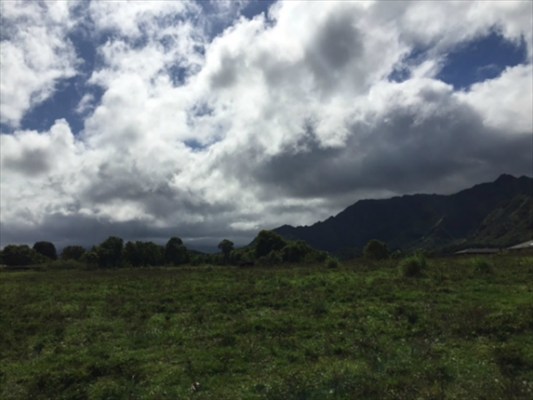 68 H Ninaulia Road Kapaa, HI 96746 - Photo 2 of 14 a view of a big yard with lots of green space