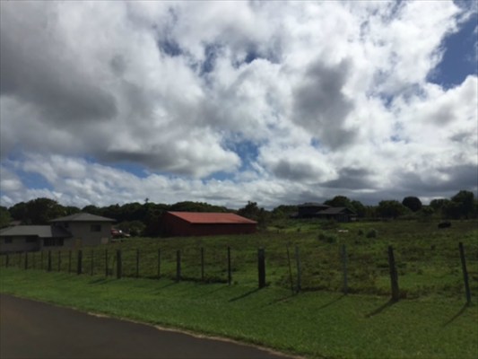 68 H Ninaulia Road Kapaa, HI 96746 - Photo 3 of 14 a view of a garden with a bench