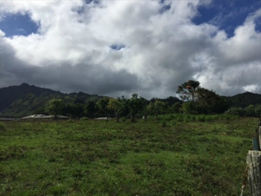 68 H Ninaulia Road Kapaa, HI 96746 - Photo 5 of 14 a view of a city