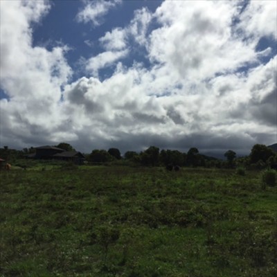 68 H Ninaulia Road Kapaa, HI 96746 - Photo 6 of 14 a view of a big yard of grass and covered with lots of green space