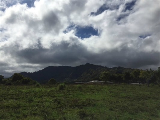 68 H Ninaulia Road Kapaa, HI 96746 - Photo 9 of 14 a view of sunset and yard