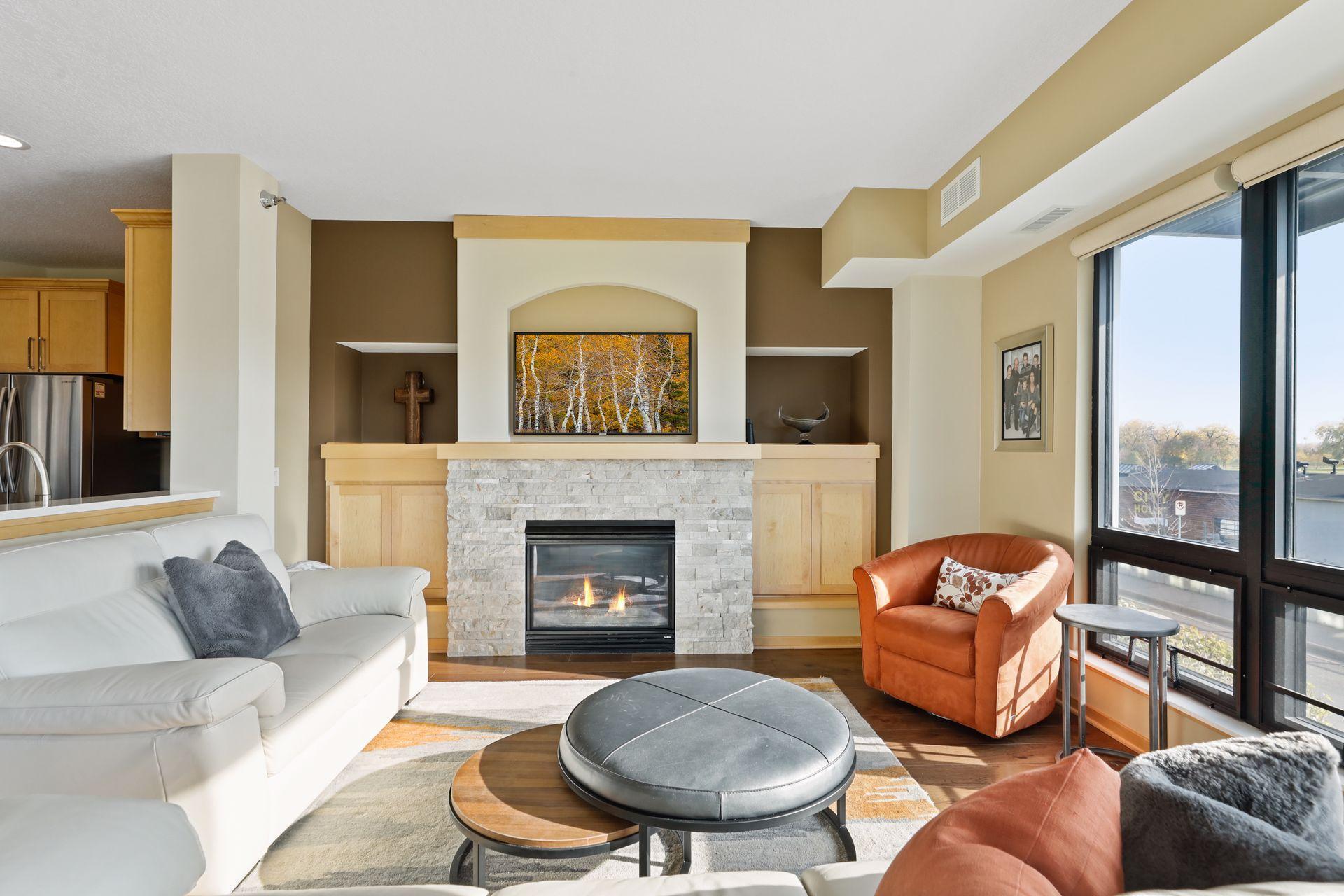 256 Spring Street, Unit 121 St. Paul, MN 55102 - Photo 10 of 51 Gallery Image 10