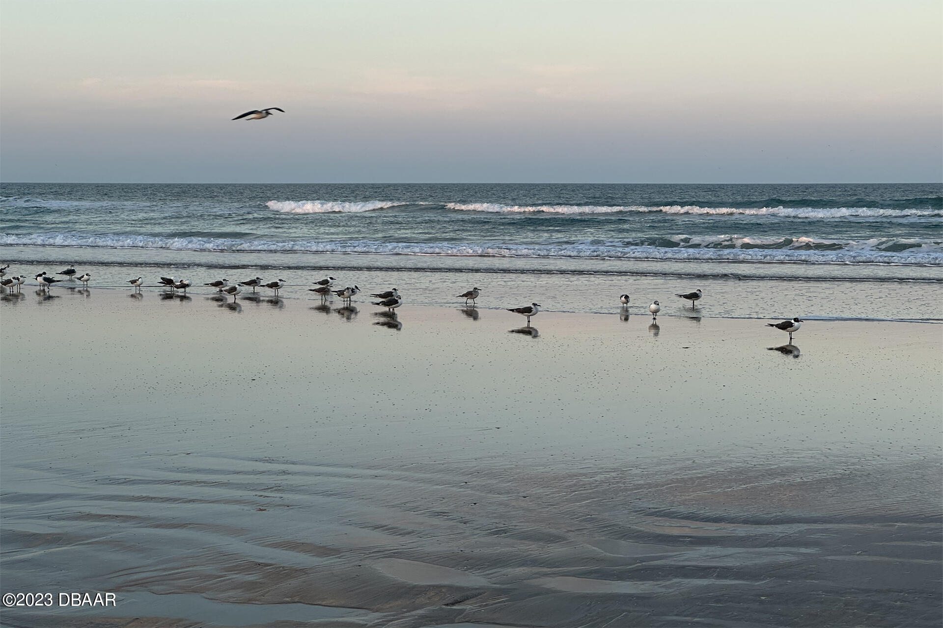 4717 South Atlantic Avenue Ponce Inlet, FL 32127 - Photo 53 of 54 4717 S Atlantic