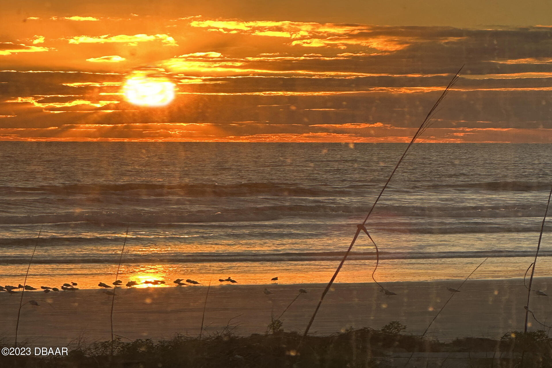 4717 South Atlantic Avenue Ponce Inlet, FL 32127 - Photo 54 of 54 IMG_0594