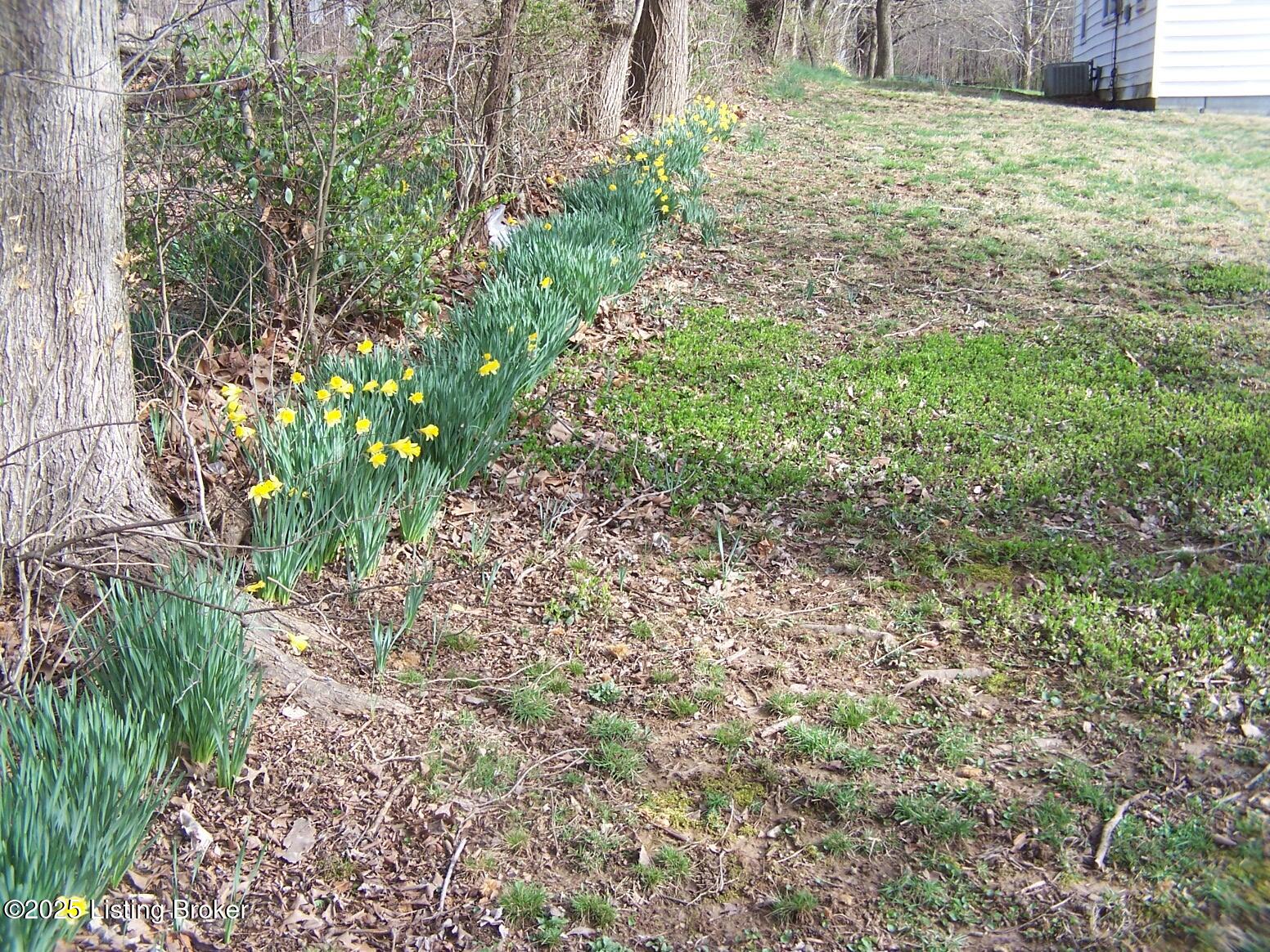 2506 Granger Road Fairdale, KY 40118 - Photo 3 of 14 Blooming Flowers Along Fence Line