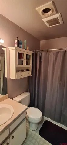 a bathroom with a sink a toilet a shower and a mirror