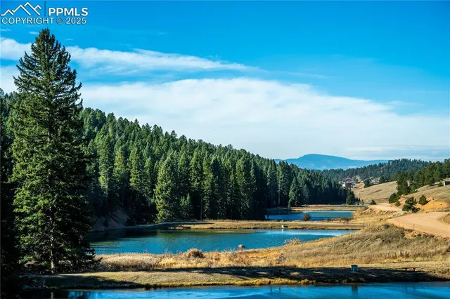 $450,000 | 70 Cheesman Lake Circle, Divide, CO 80814