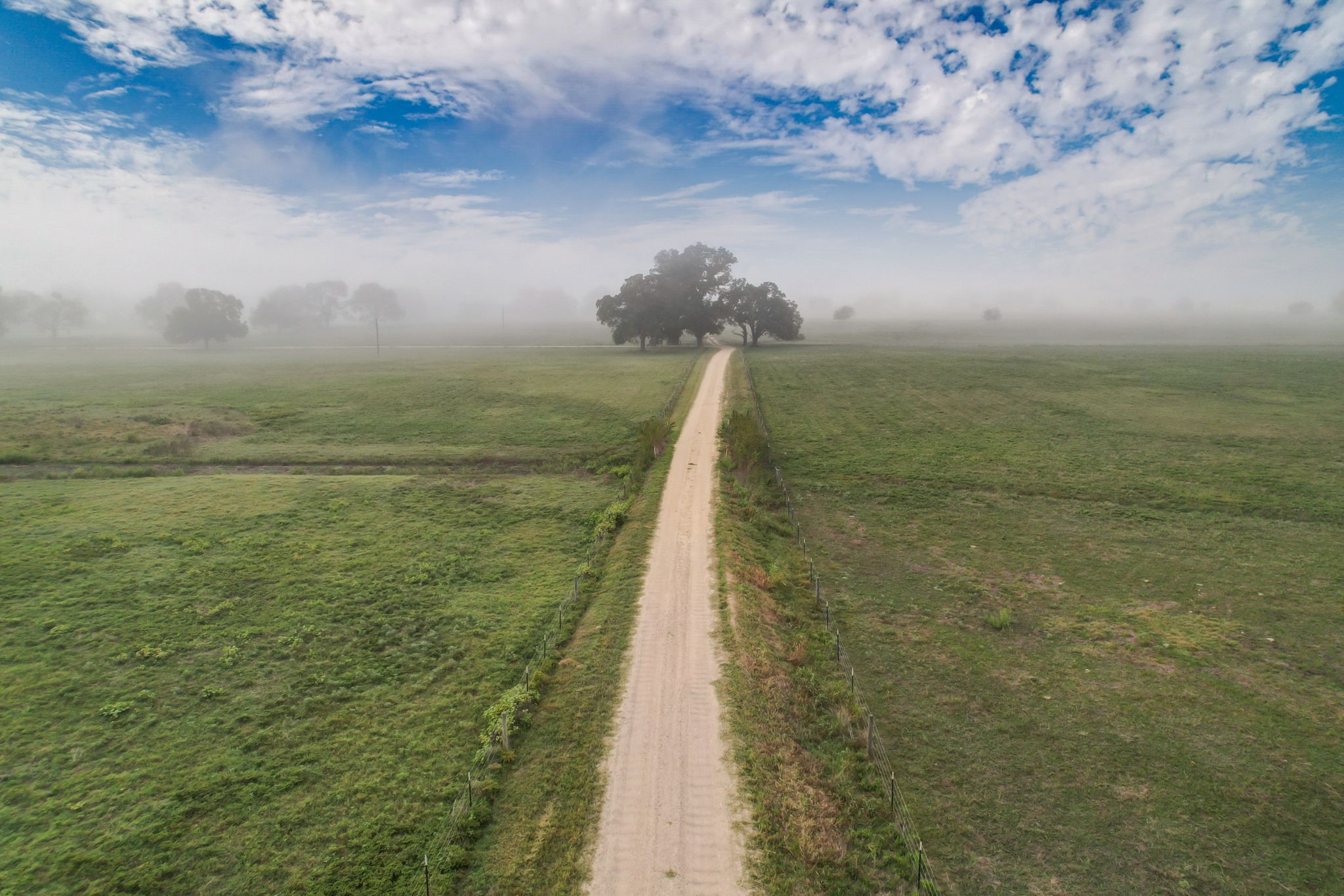 Tbd Reinsch Road Smithville, TX 78957 - Photo 1 of 1 Gallery Image 1