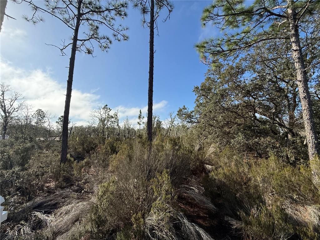 56 Northeast Ne Street Bronson, FL 32621 - Photo 8 of 8