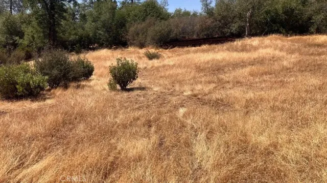a view of a yard covered in snow