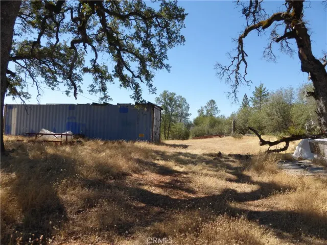 a view of a lush green field with mountains in the background