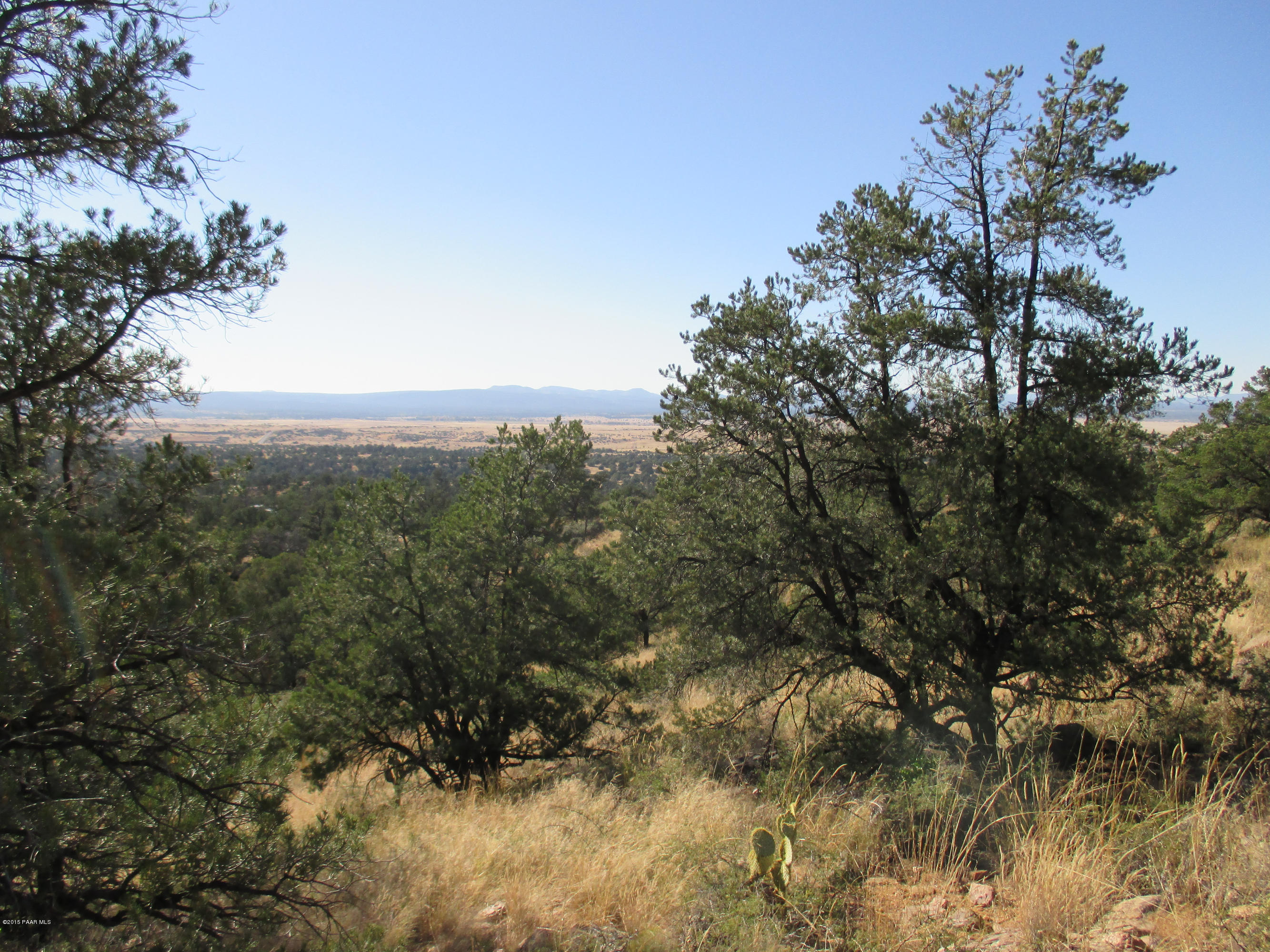 16101 Petroglyph Road Prescott, AZ 86305 - Photo 11 of 33 a view of a yard with a tree