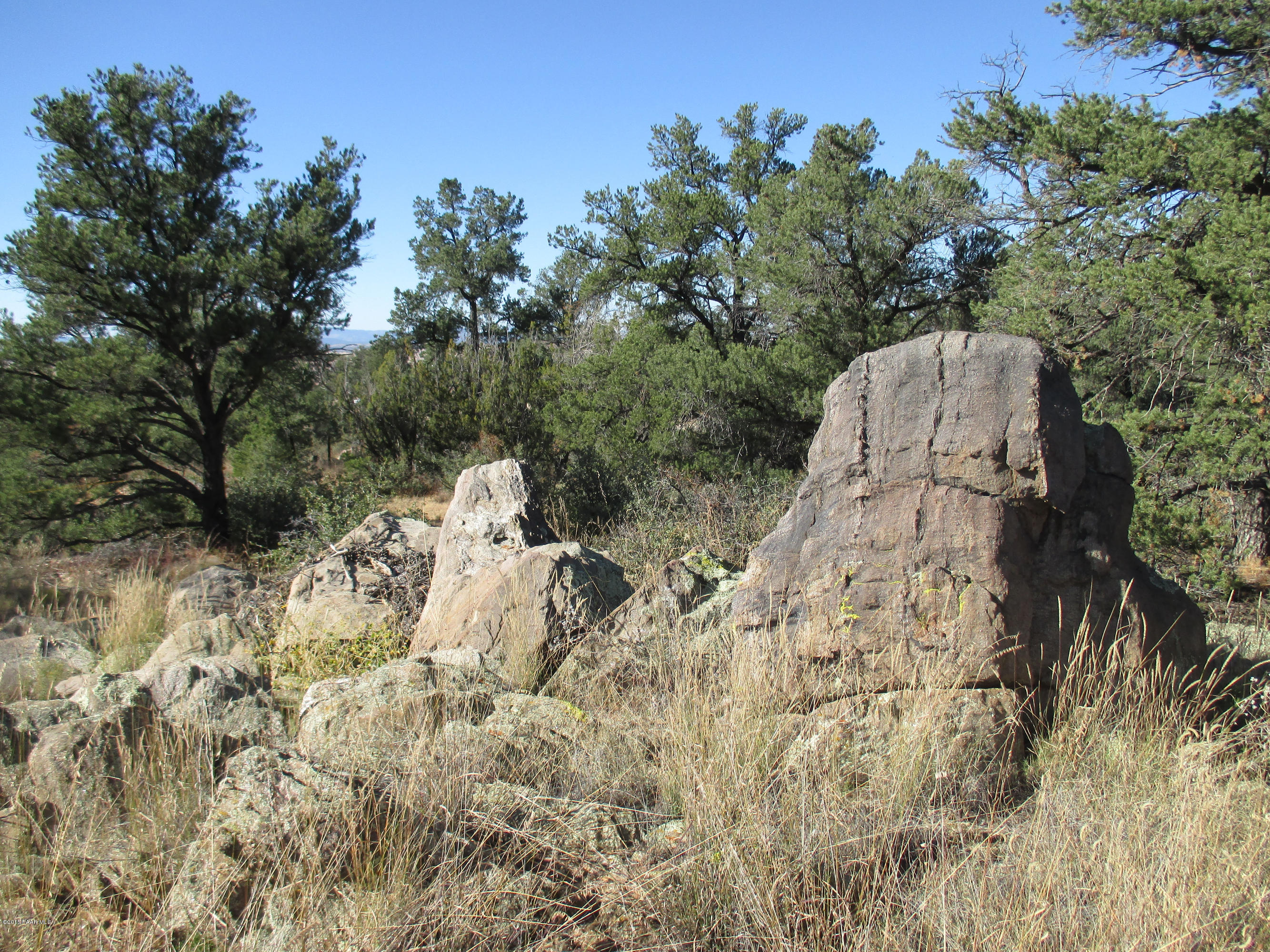 16101 Petroglyph Road Prescott, AZ 86305 - Photo 12 of 33 a view of a yard with a tree