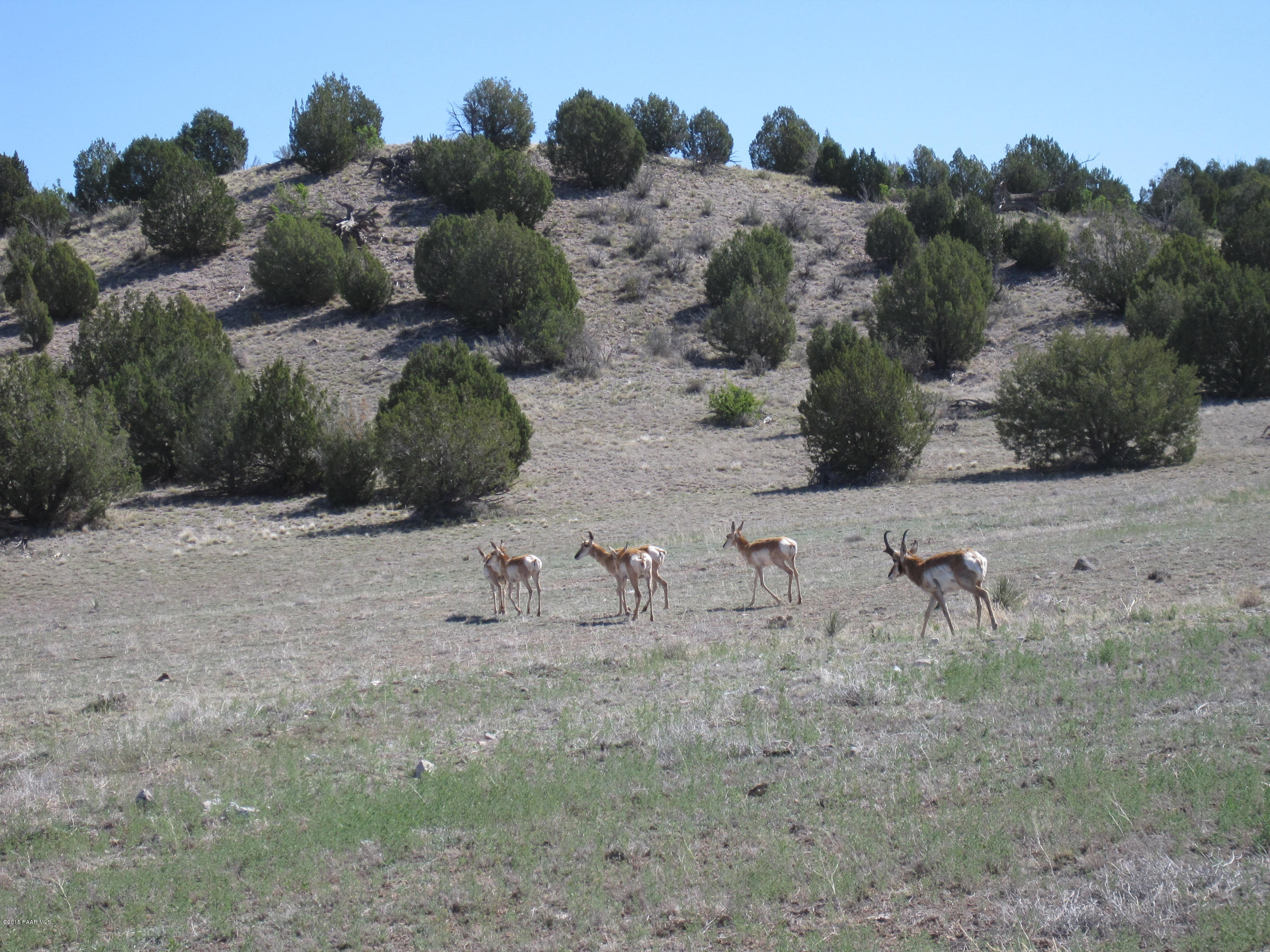 16101 Petroglyph Road Prescott, AZ 86305 - Photo 18 of 33