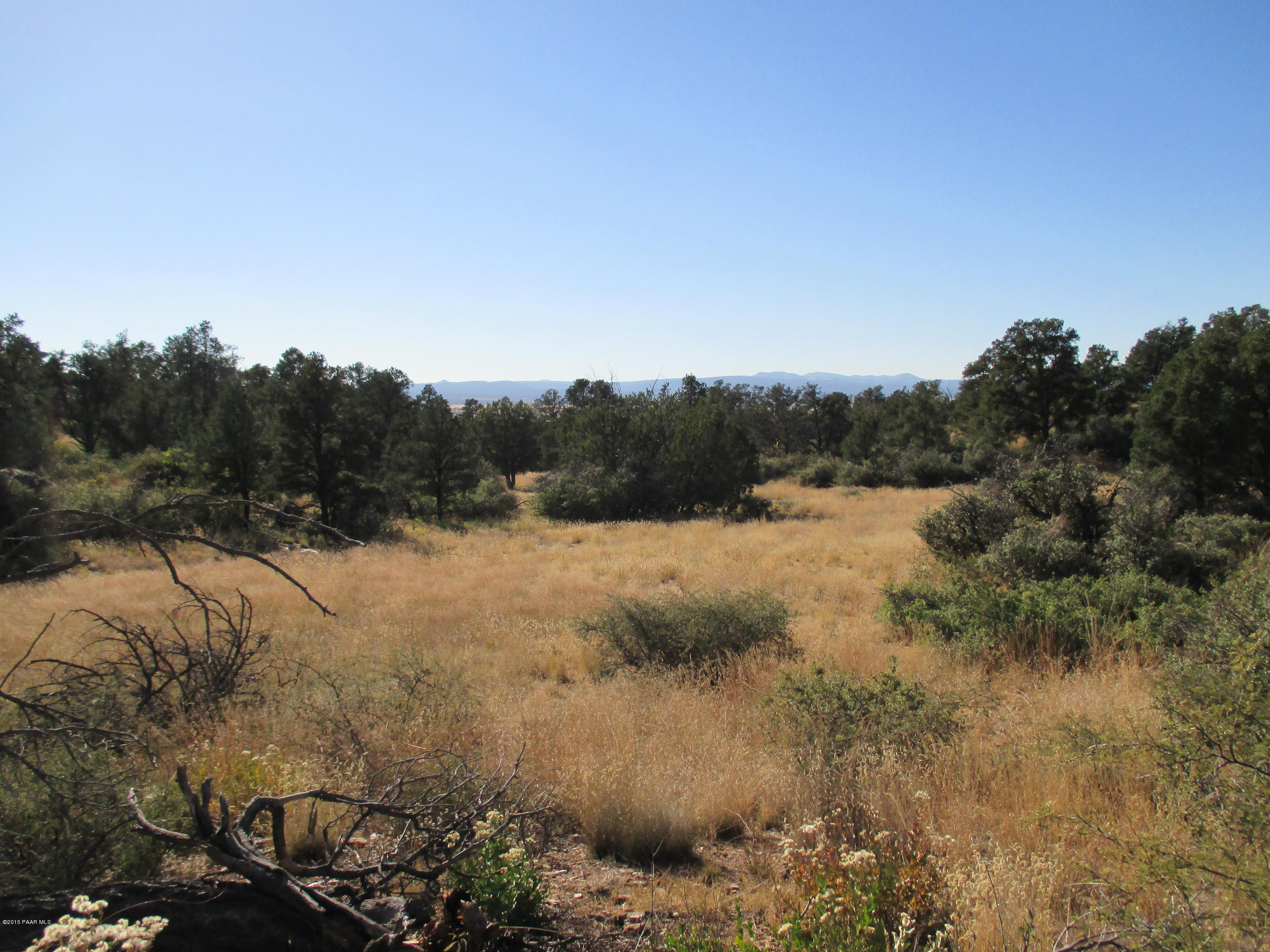 16101 Petroglyph Road Prescott, AZ 86305 - Photo 2 of 33 a view of a yard