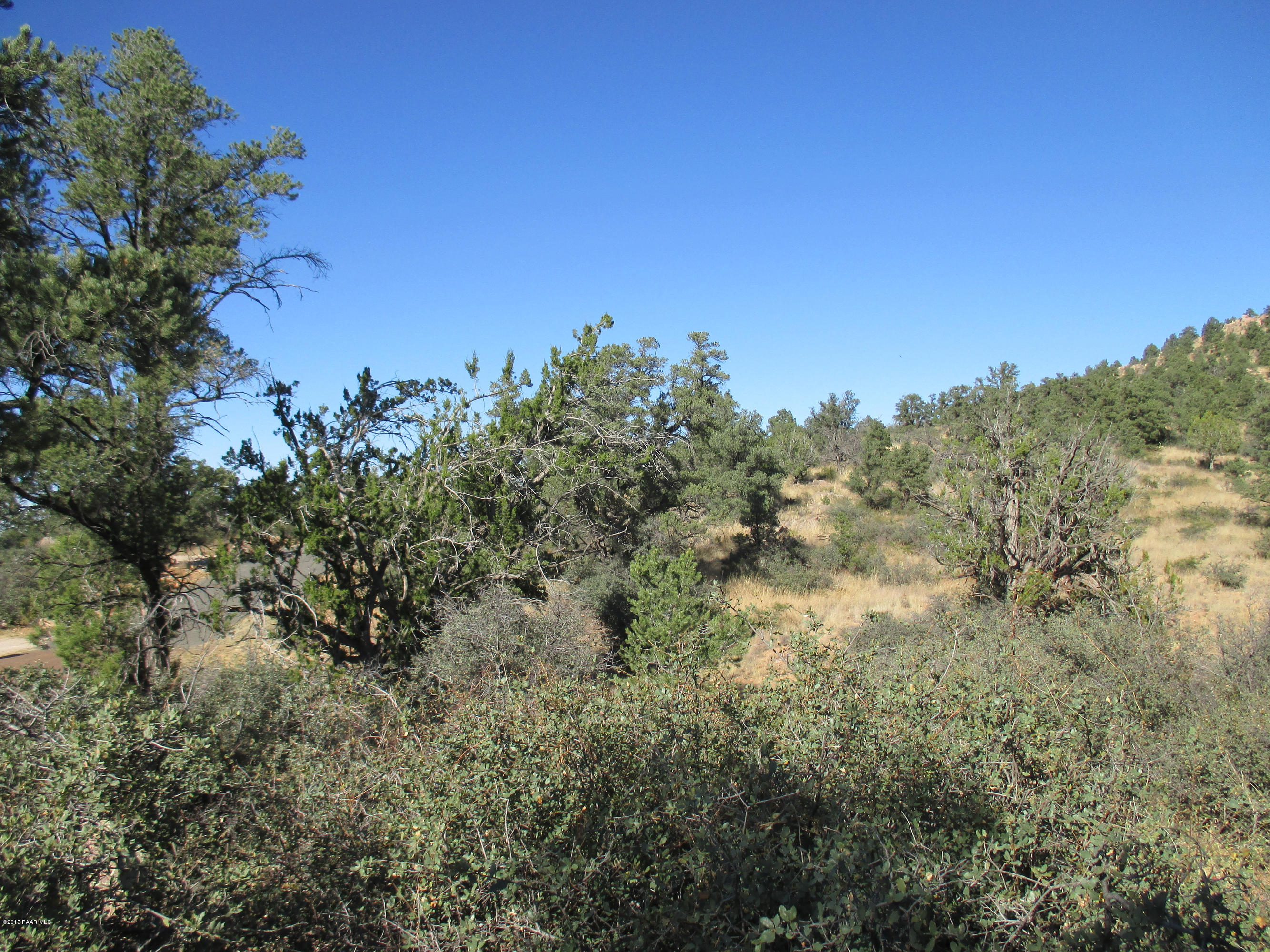 16101 Petroglyph Road Prescott, AZ 86305 - Photo 25 of 33 a view of a bunch of trees in a field