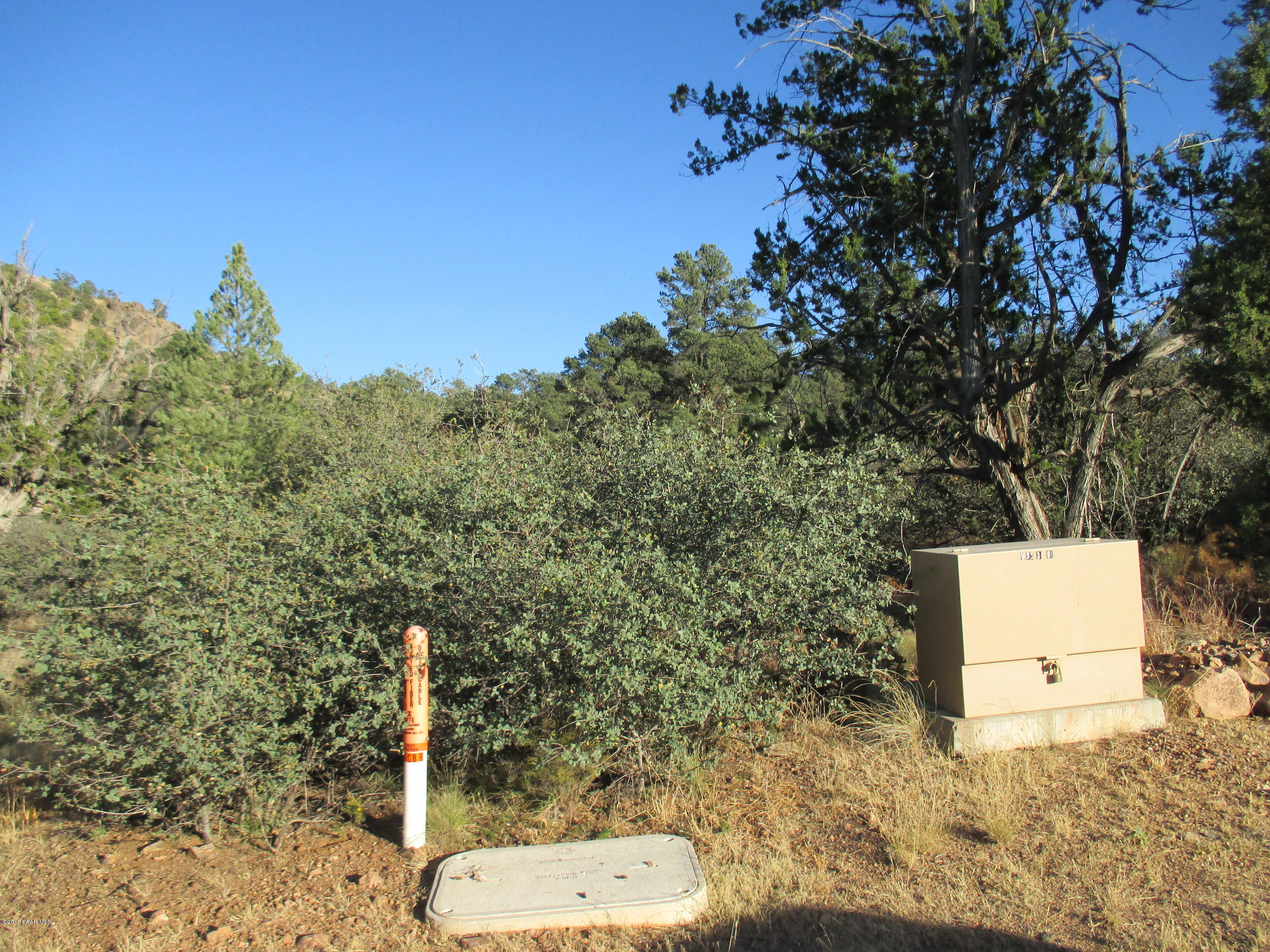 16101 Petroglyph Road Prescott, AZ 86305 - Photo 26 of 33 a view of a yard