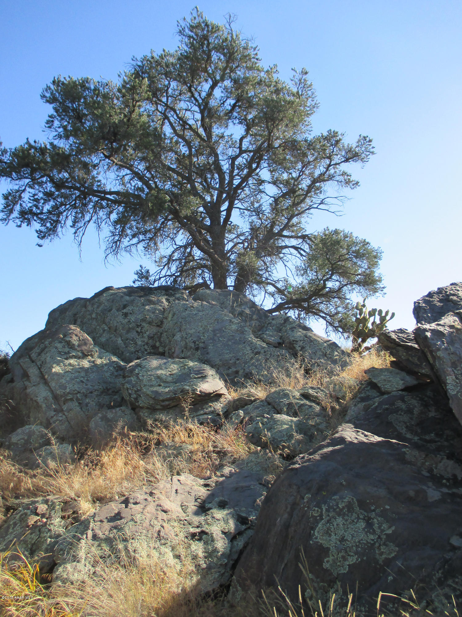 16101 Petroglyph Road Prescott, AZ 86305 - Photo 10 of 33 a view of mountain view with lots of trees