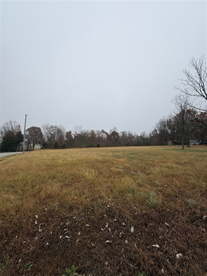 2379 Coal Road Lewisburg, KY 42256 - Photo 9 of 27 Gallery Image 9