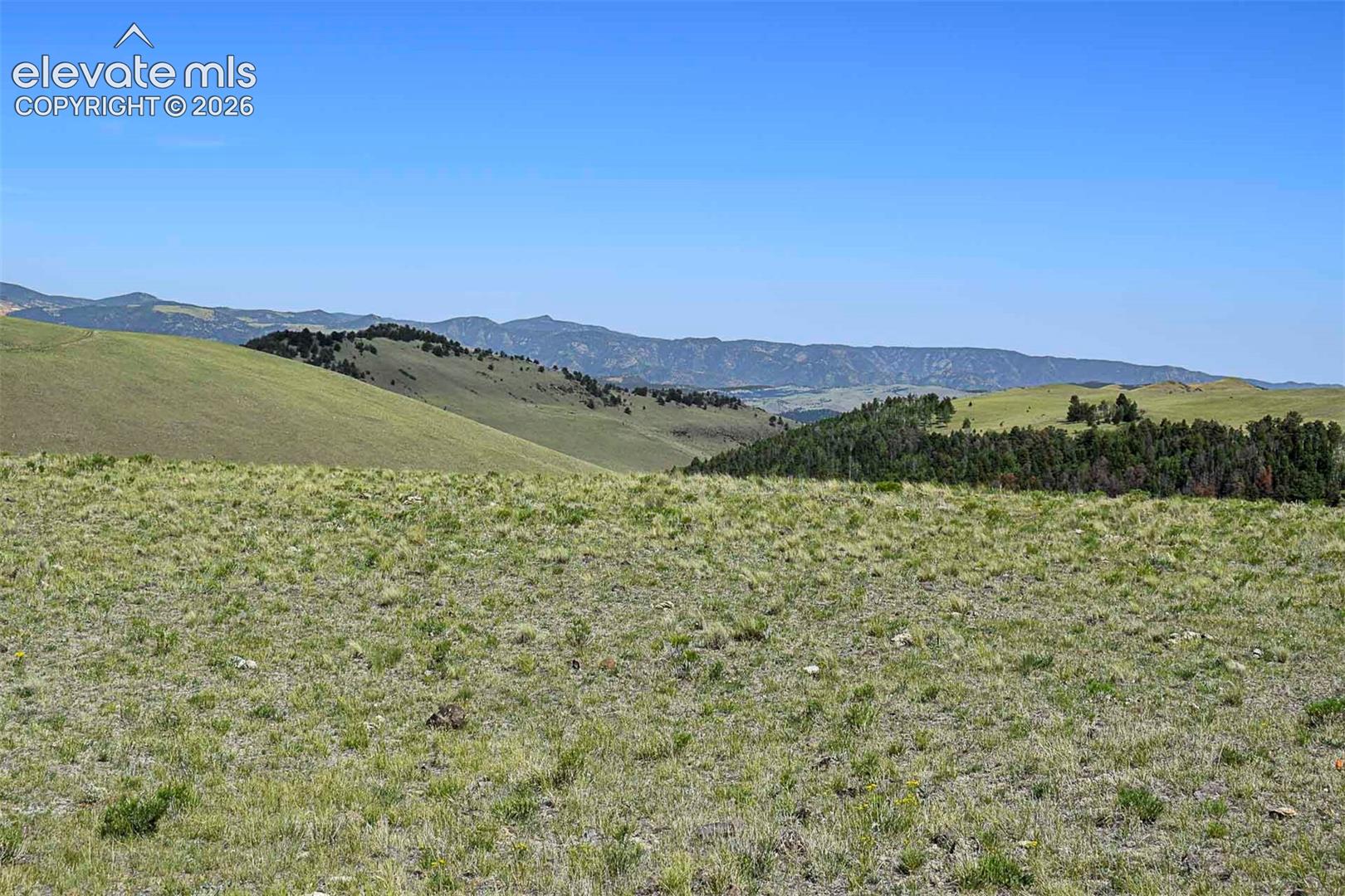 0 Bear Cat Road Guffey, CO 80820 - Photo 37 of 40 Gallery Image 37
