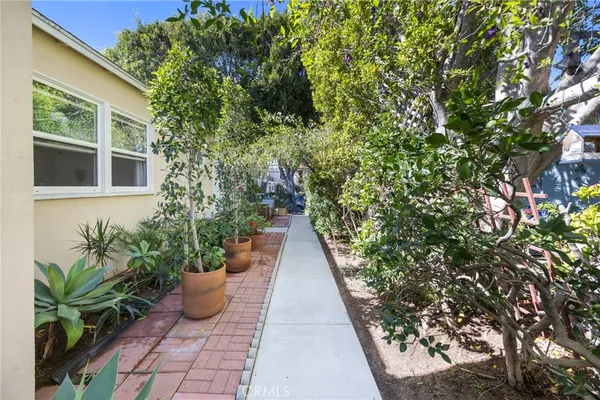 a view of a pathway with plants