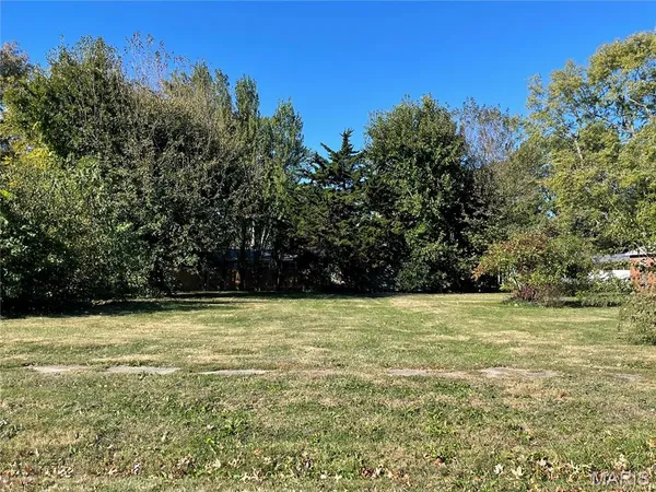 $17,000 | Tbd North Madison Street, Litchfield, IL 62056