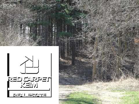 3819 Stanley Road Lapeer, MI 48446 - Photo 11 of 18 20435086-10.JPG