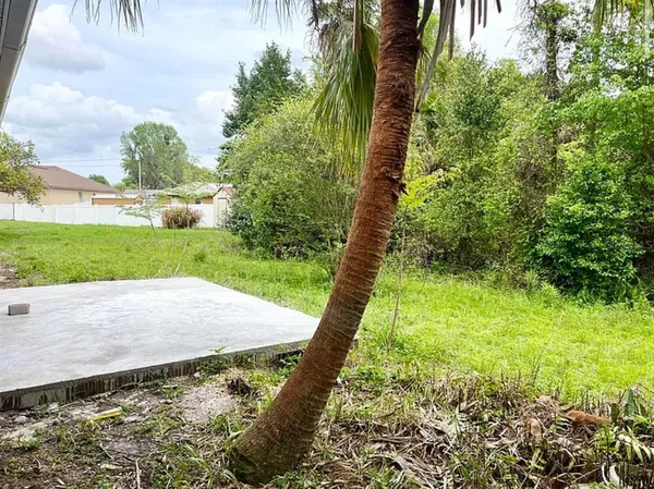 a backyard of a house with lots of green space