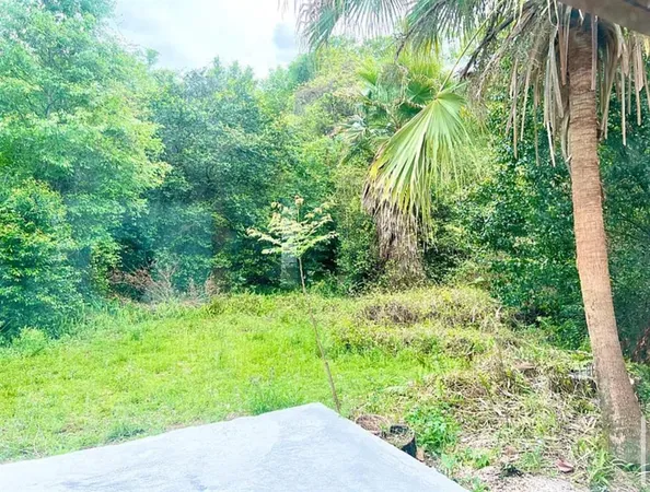 a close up of a plant in a yard