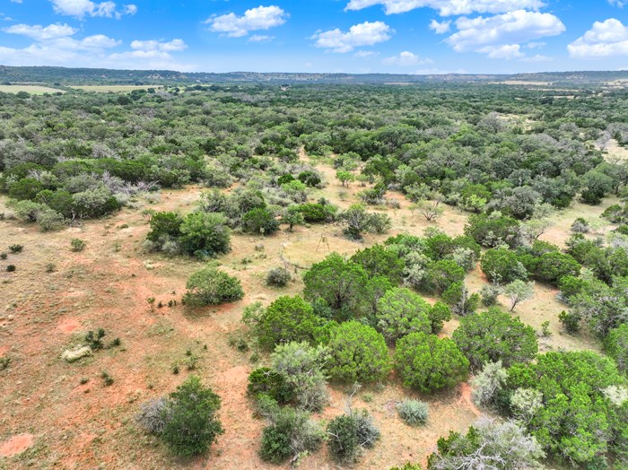 159 Mormon Creek Road Doss, TX 78618 - Photo 10 of 29