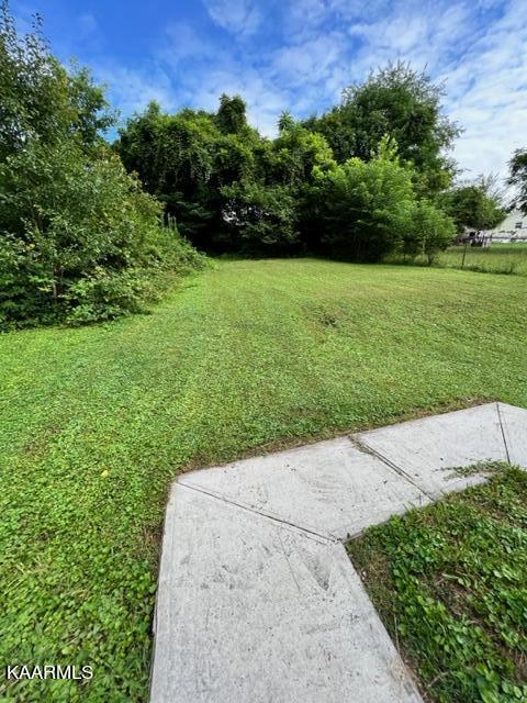 161 Johnson Road Oak Ridge, TN 37830 - Photo 3 of 18 IMG_4104