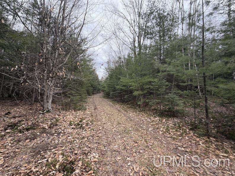 Tbd K Road Bark River, MI 49807 - Photo 4 of 8