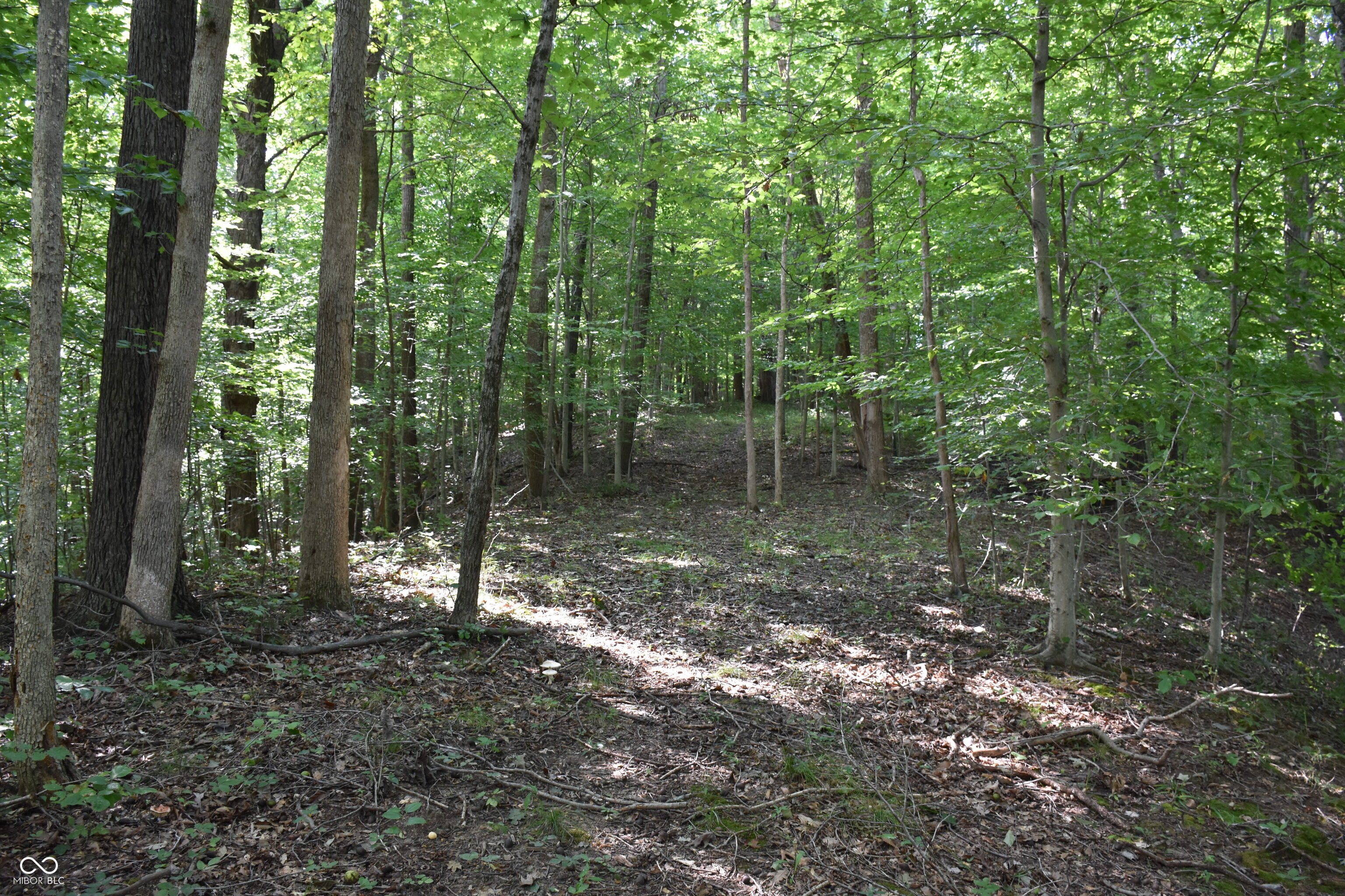 0 Sichting Road Martinsville, IN 46151 - Photo 25 of 43 Gallery Image 25