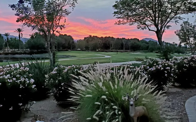 $1,085,000 | 60553 Juniper Lane, La Quinta, CA 92253