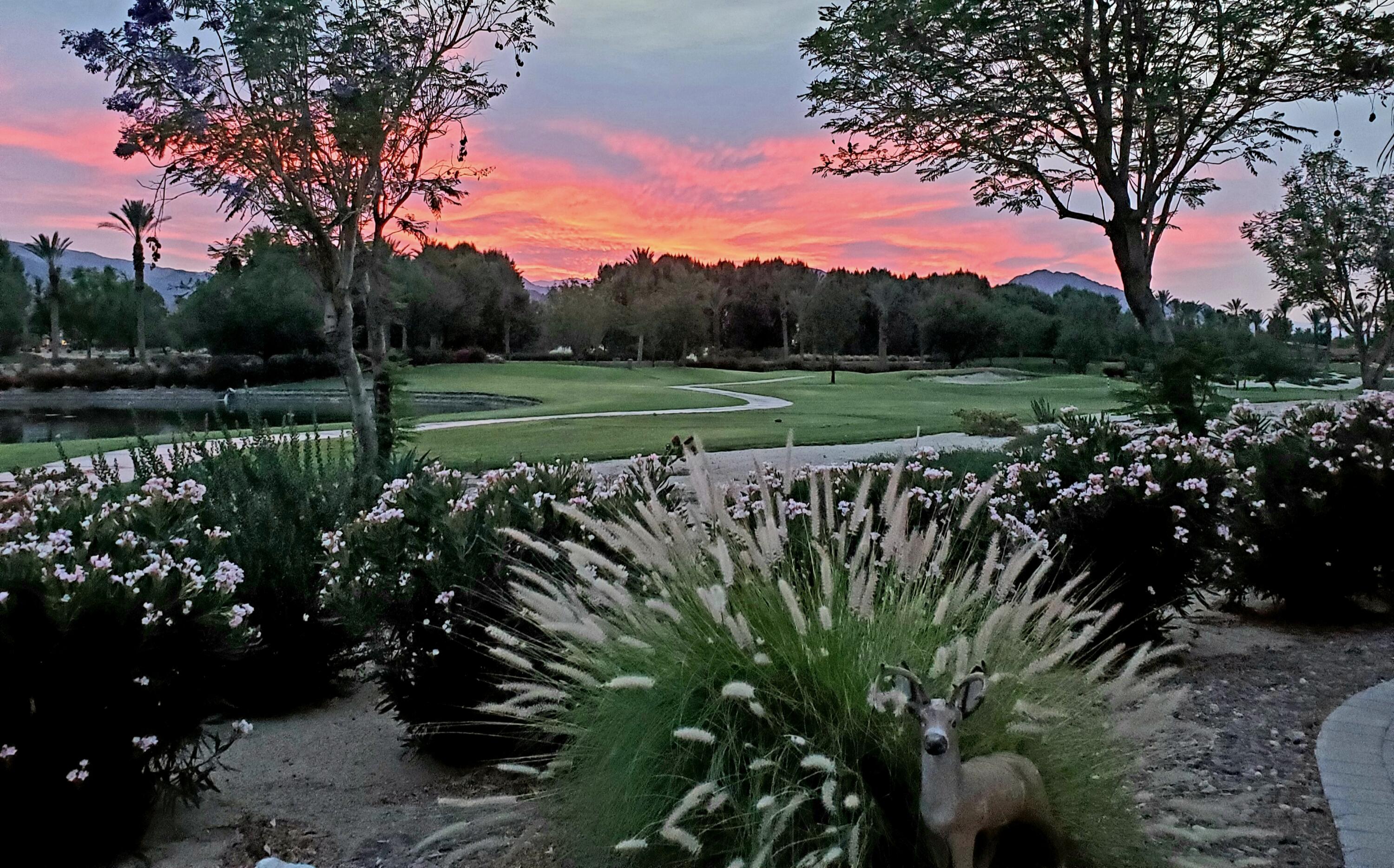 60553 Juniper Lane La Quinta, CA 92253 - Photo 11 of 99 20200724_102039