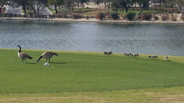 $1,085,000 | 60553 Juniper Lane, La Quinta, CA 92253
