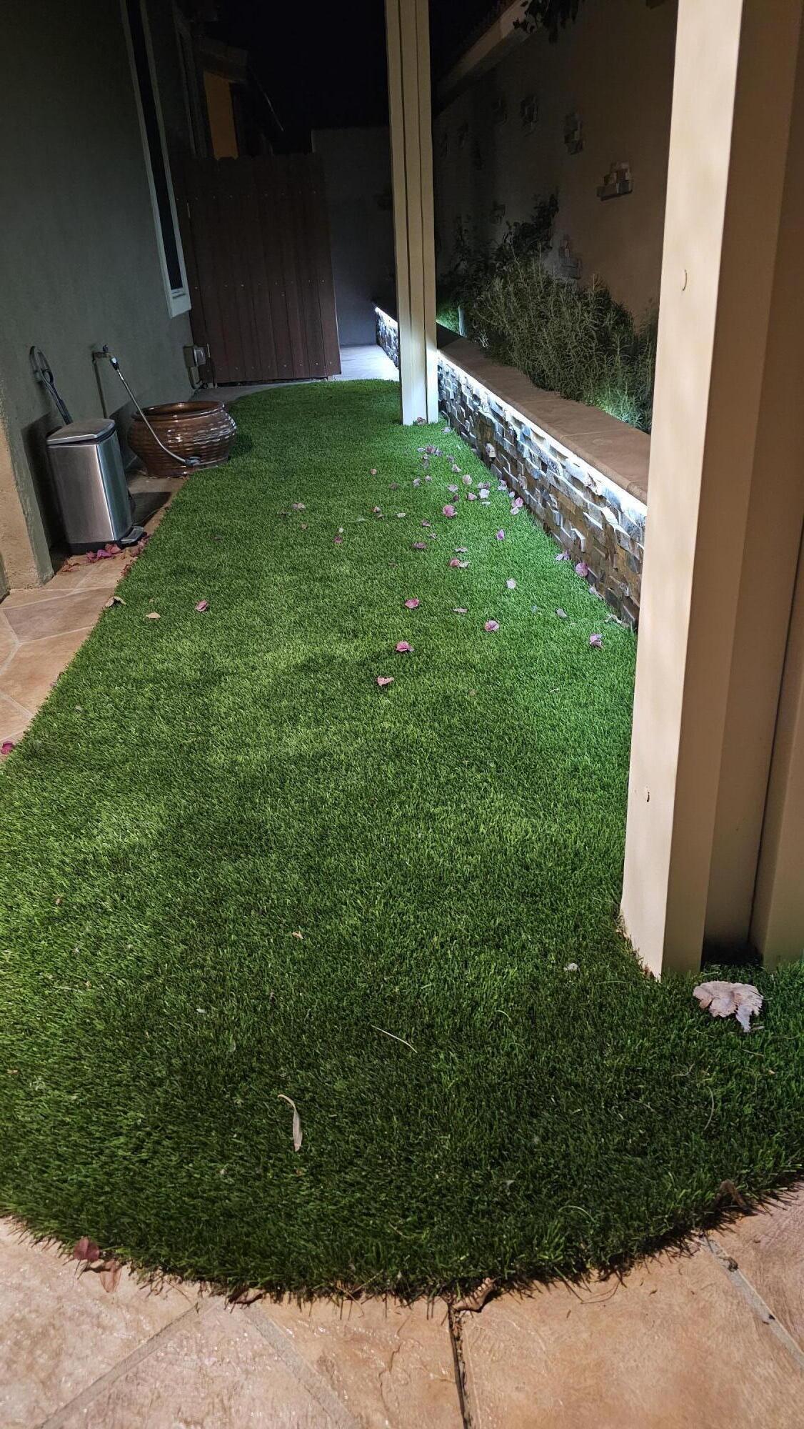 60553 Juniper Lane La Quinta, CA 92253 - Photo 53 of 99 Secured dog run