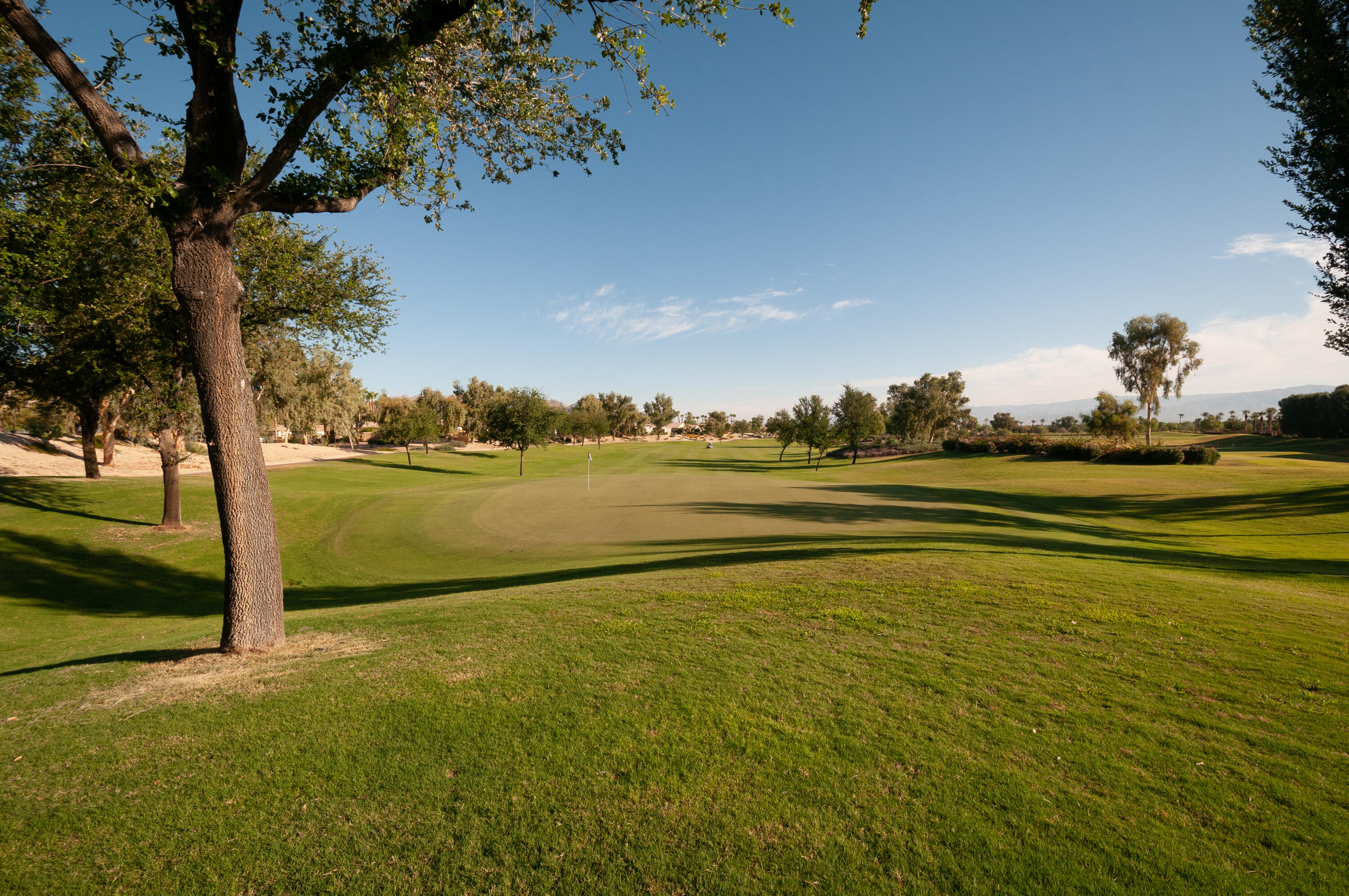 60553 Juniper Lane La Quinta, CA 92253 - Photo 83 of 99 Golf course 1 L
