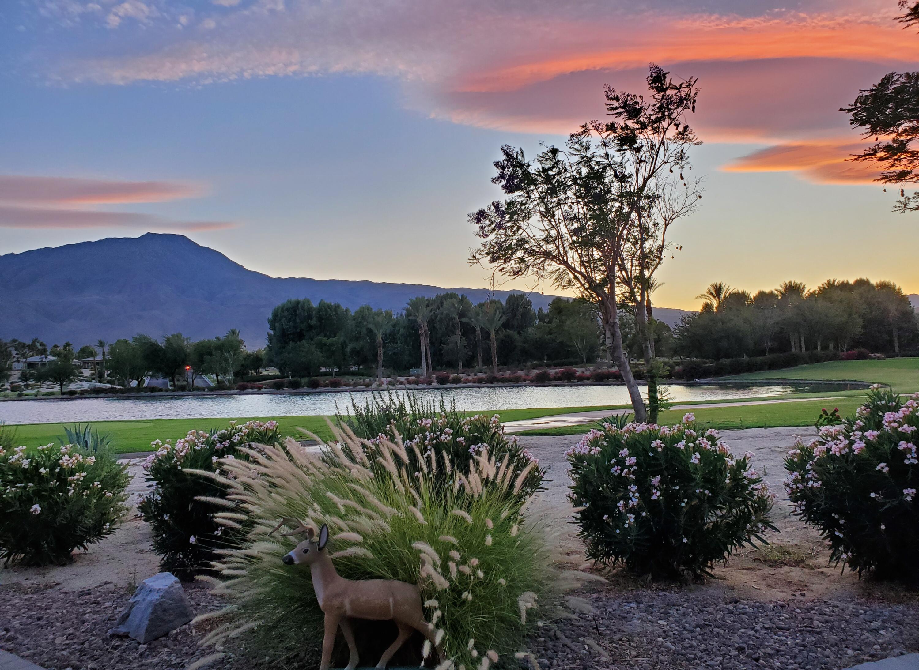 60553 Juniper Lane La Quinta, CA 92253 - Photo 10 of 99 20200530_211829