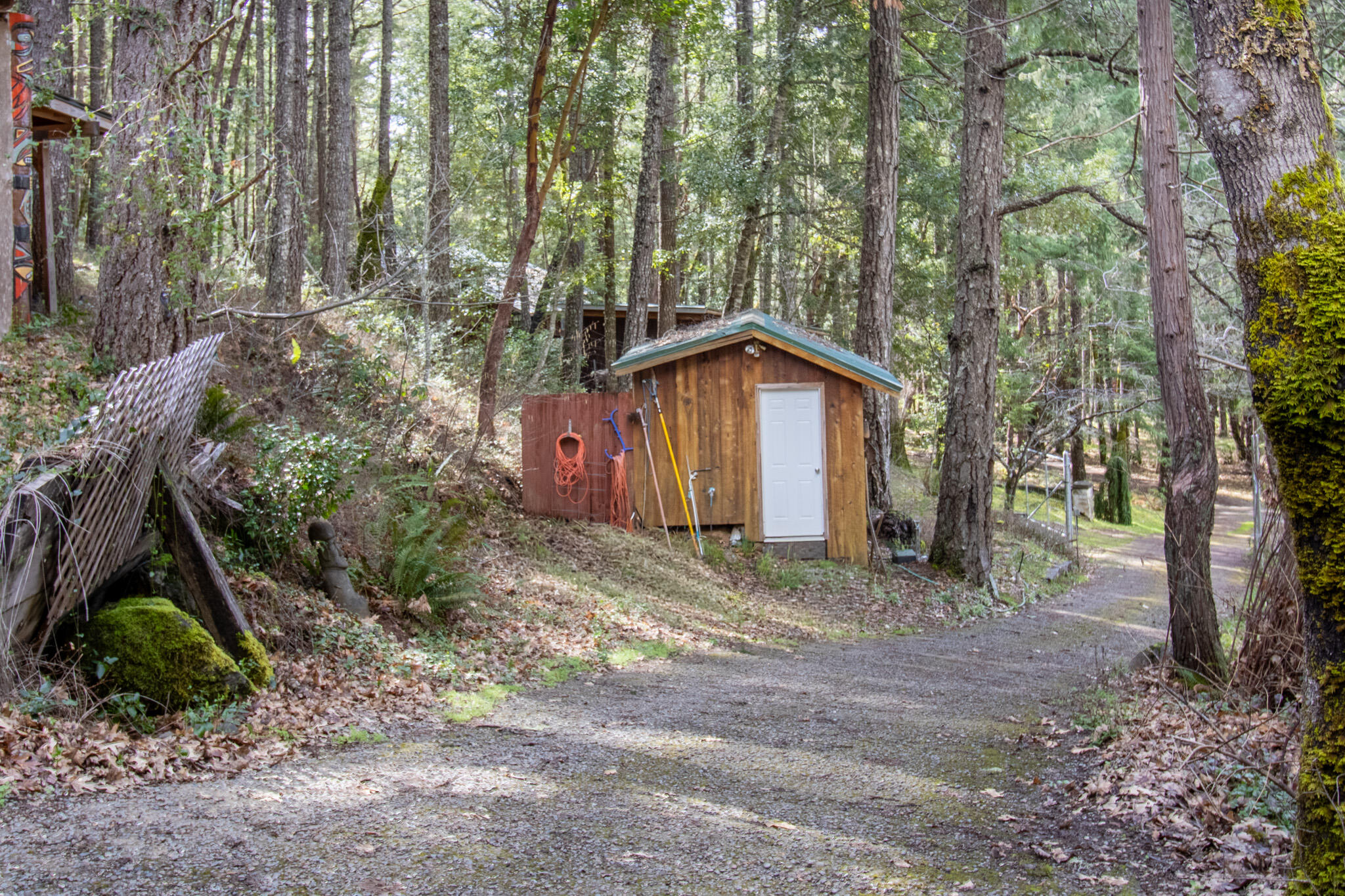 1449 Queen Of Bronze Road Cave Junction, OR 97523 - Photo 58 of 87 Garden Shed