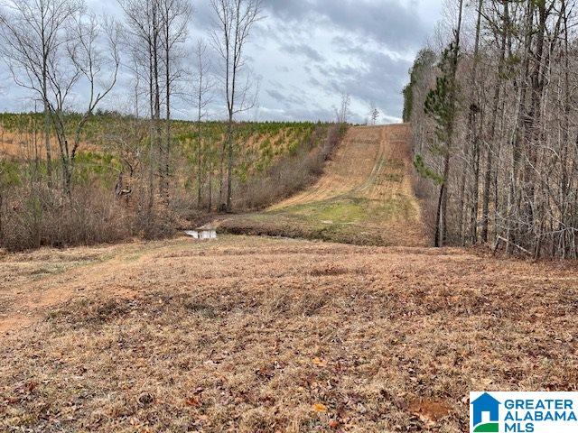 59 County Road, Unit 30 Heflin, AL 36264 - Photo 11 of 24