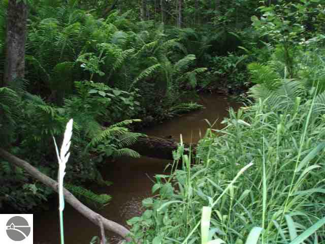140 North Towerline Road Whittemore, MI 48770 - Photo 19 of 35 1803590-18.JPG