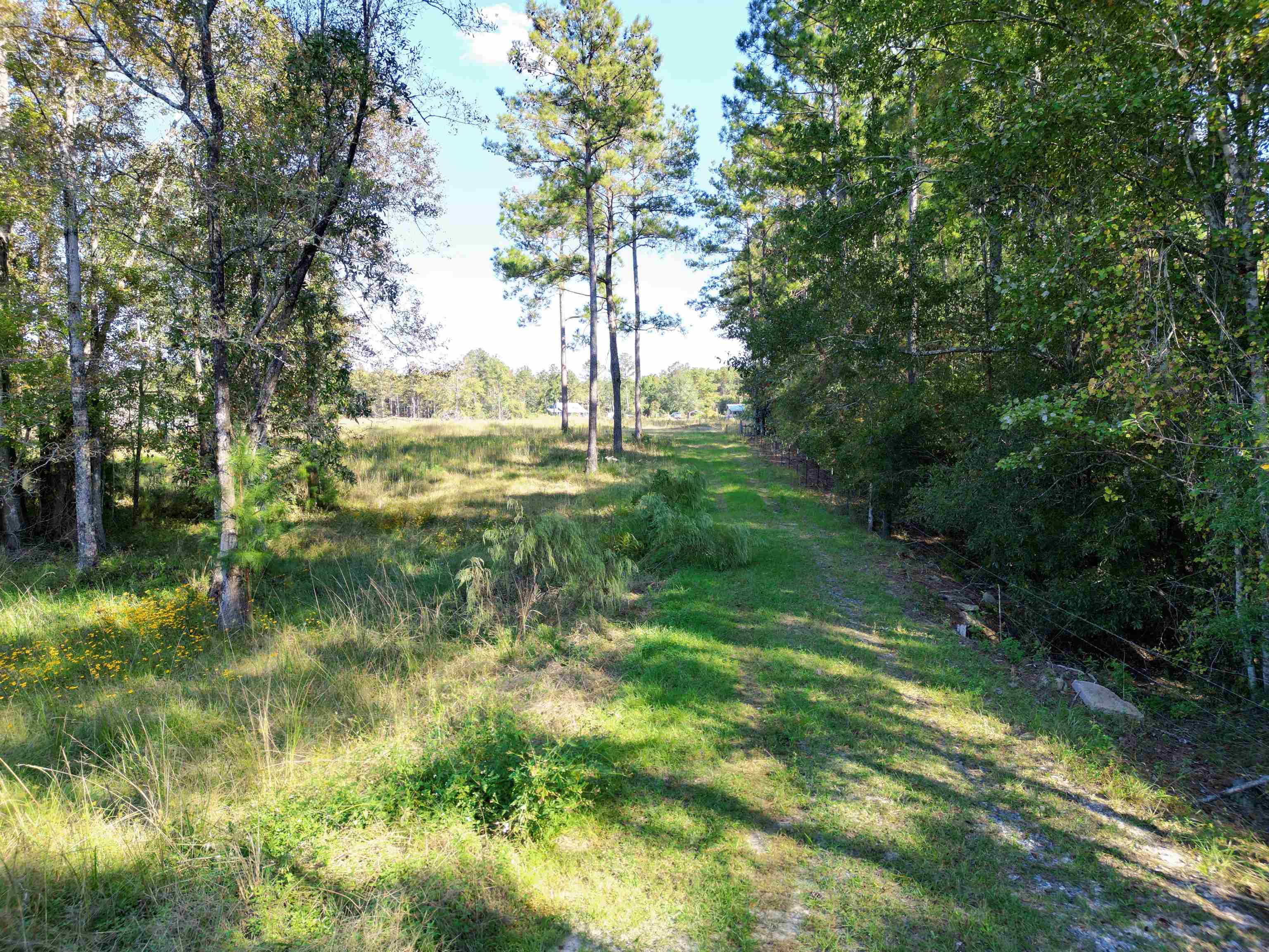 17752 Arnold Kelly Road Hosford, FL 32334 - Photo 1 of 12