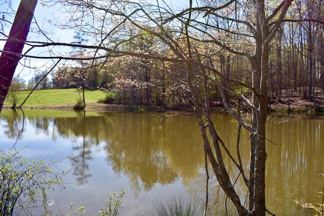 13753 West Gretna Road Sandy Level, VA 24161 - Photo 11 of 99 DSC_0475