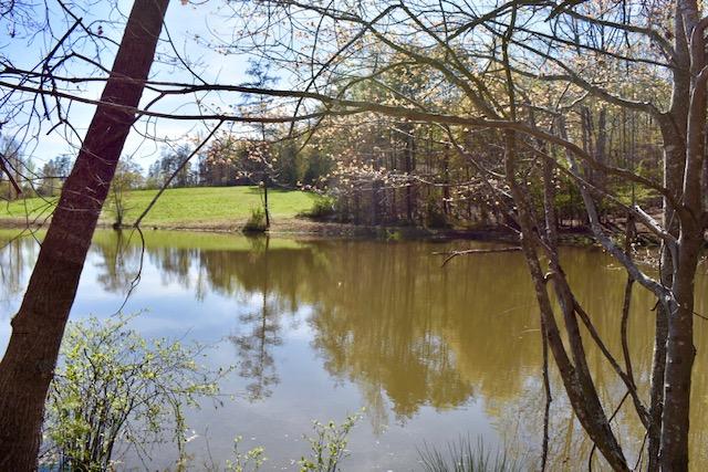 13753 West Gretna Road Sandy Level, VA 24161 - Photo 14 of 99 DSC_0476