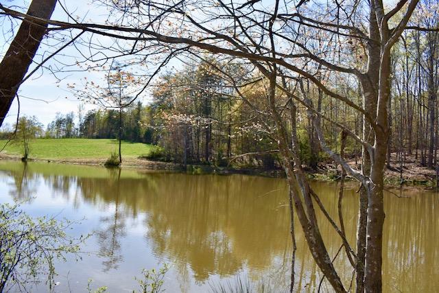 13753 West Gretna Road Sandy Level, VA 24161 - Photo 22 of 99 DSC_0482