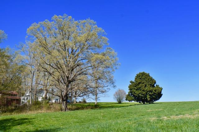 13753 West Gretna Road Sandy Level, VA 24161 - Photo 24 of 99 DSC_0488.JPG_1