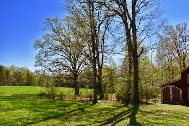 13753 West Gretna Road Sandy Level, VA 24161 - Photo 6 of 99 a view of a yard with an trees