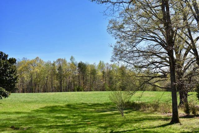 13753 West Gretna Road Sandy Level, VA 24161 - Photo 7 of 99 a view of a grassy field with trees around