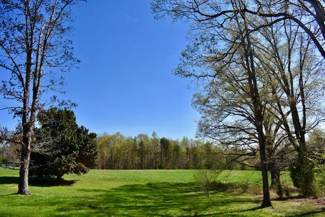 13753 West Gretna Road Sandy Level, VA 24161 - Photo 8 of 99 a view of a field with a tree